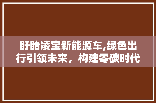 盱眙凌宝新能源车,绿色出行引领未来，构建零碳时代新篇章