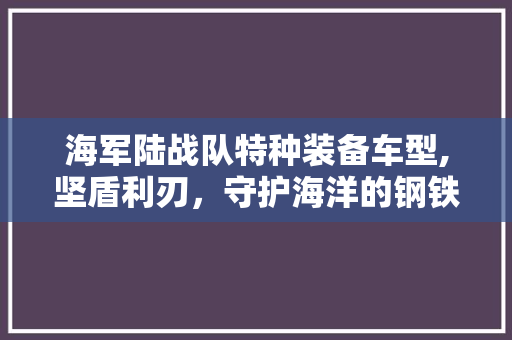 海军陆战队特种装备车型,坚盾利刃，守护海洋的钢铁雄狮
