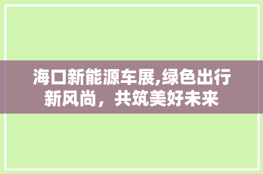 海口新能源车展,绿色出行新风尚，共筑美好未来