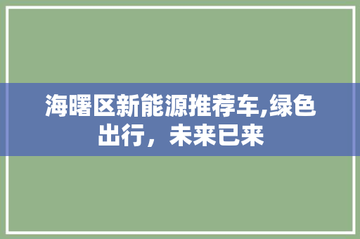 海曙区新能源推荐车,绿色出行，未来已来