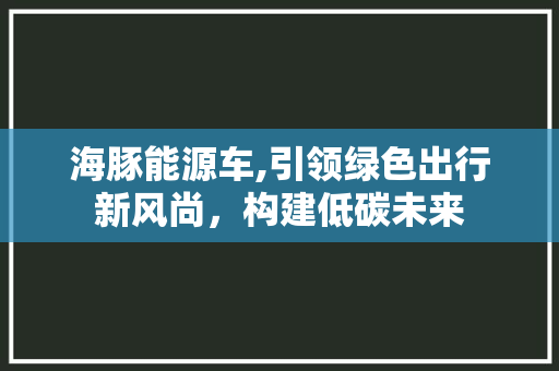 海豚能源车,引领绿色出行新风尚，构建低碳未来