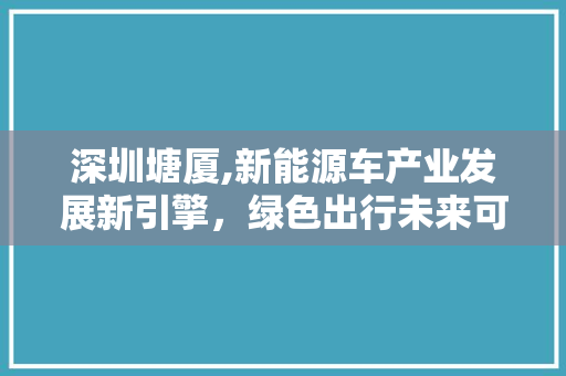 深圳塘厦,新能源车产业发展新引擎，绿色出行未来可期