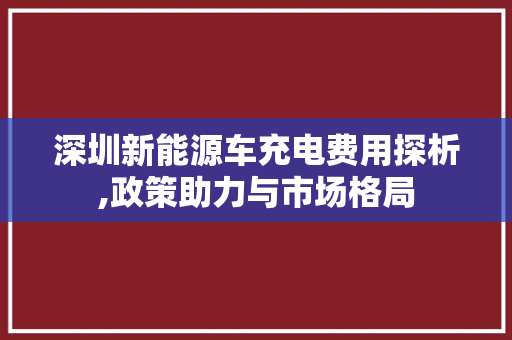 深圳新能源车充电费用探析,政策助力与市场格局