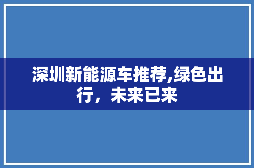 深圳新能源车推荐,绿色出行，未来已来