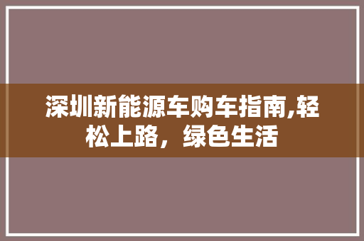 深圳新能源车购车指南,轻松上路，绿色生活