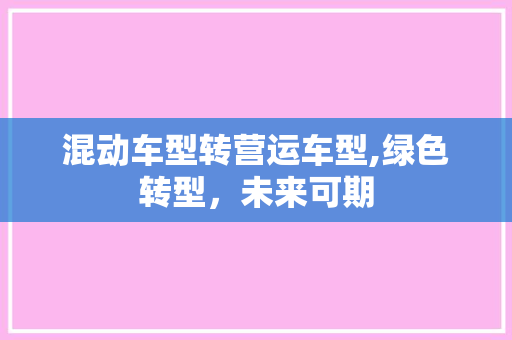混动车型转营运车型,绿色转型，未来可期