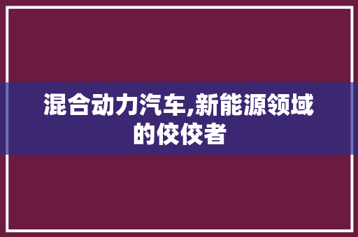 混合动力汽车,新能源领域的佼佼者