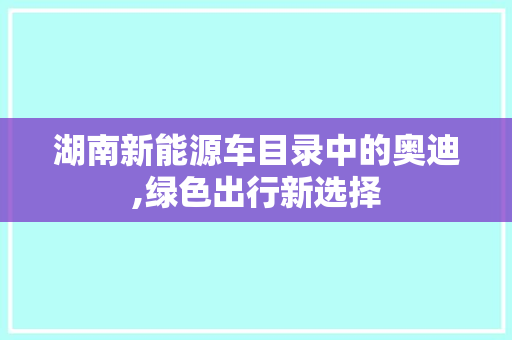 湖南新能源车目录中的奥迪,绿色出行新选择