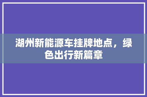 湖州新能源车挂牌地点，绿色出行新篇章