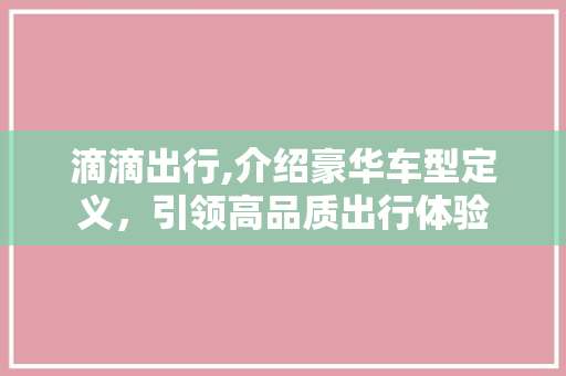 滴滴出行,介绍豪华车型定义，引领高品质出行体验