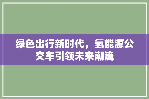 绿色出行新时代，氢能源公交车引领未来潮流