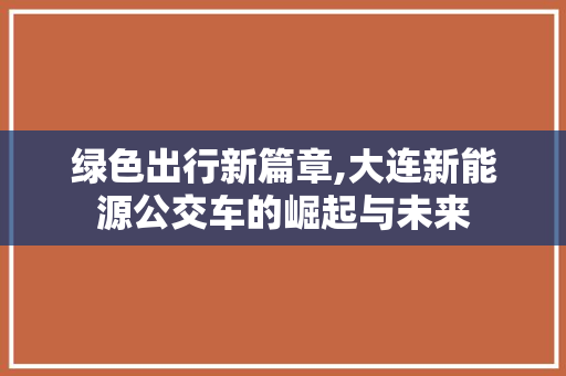 绿色出行新篇章,大连新能源公交车的崛起与未来