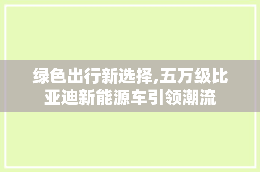 绿色出行新选择,五万级比亚迪新能源车引领潮流