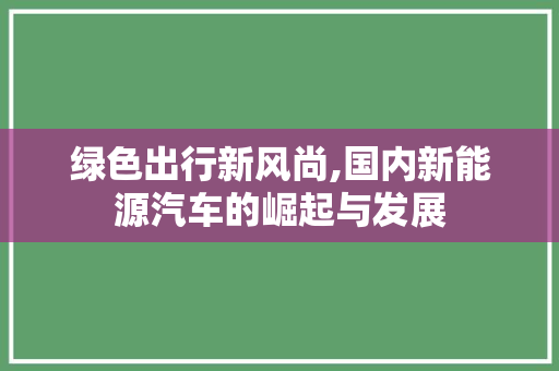 绿色出行新风尚,国内新能源汽车的崛起与发展