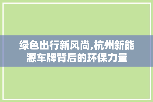 绿色出行新风尚,杭州新能源车牌背后的环保力量