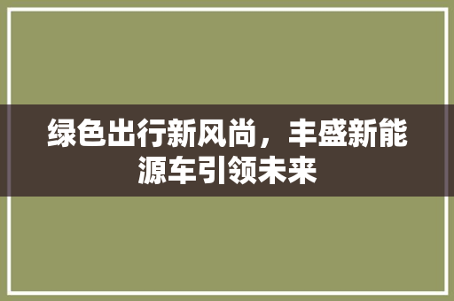 绿色出行新风尚，丰盛新能源车引领未来