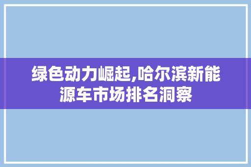 绿色动力崛起,哈尔滨新能源车市场排名洞察