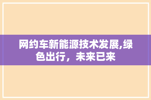 网约车新能源技术发展,绿色出行，未来已来