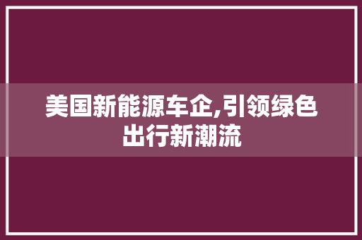 美国新能源车企,引领绿色出行新潮流