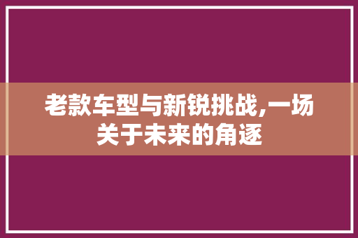 老款车型与新锐挑战,一场关于未来的角逐
