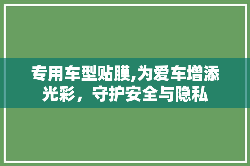 专用车型贴膜,为爱车增添光彩，守护安全与隐私