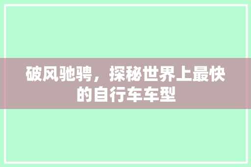破风驰骋，探秘世界上最快的自行车车型