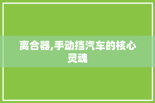 离合器,手动挡汽车的核心灵魂