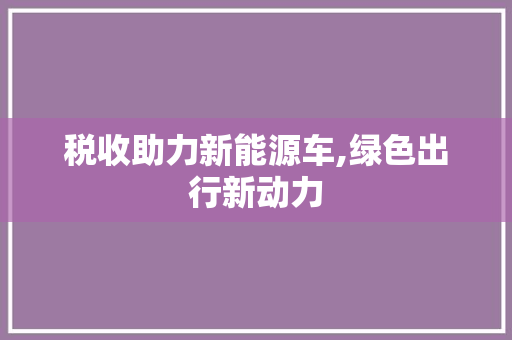 税收助力新能源车,绿色出行新动力
