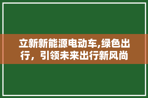 立新新能源电动车,绿色出行，引领未来出行新风尚
