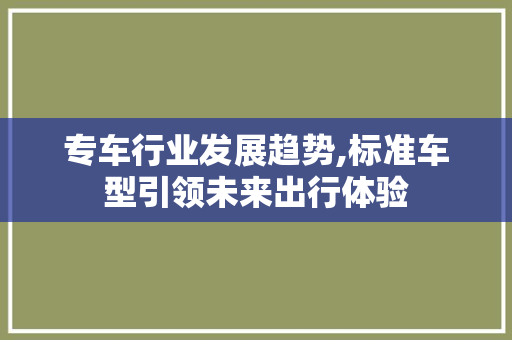 专车行业发展趋势,标准车型引领未来出行体验