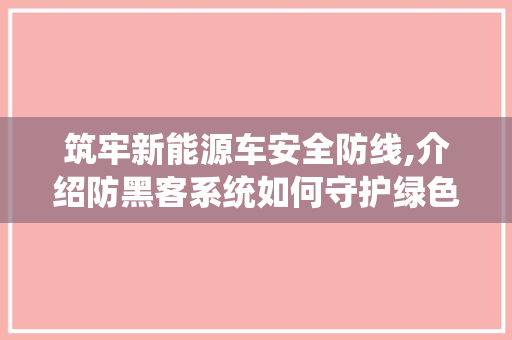 筑牢新能源车安全防线,介绍防黑客系统如何守护绿色出行