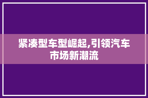 紧凑型车型崛起,引领汽车市场新潮流