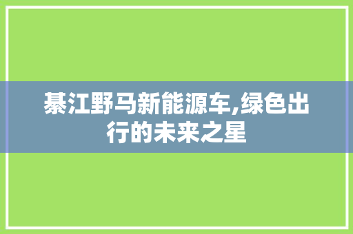 綦江野马新能源车,绿色出行的未来之星