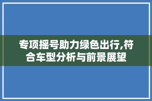 专项摇号助力绿色出行,符合车型分析与前景展望