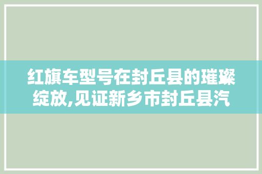 红旗车型号在封丘县的璀璨绽放,见证新乡市封丘县汽车产业的发展