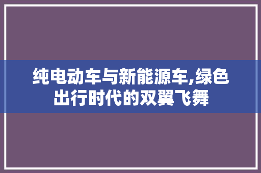 纯电动车与新能源车,绿色出行时代的双翼飞舞