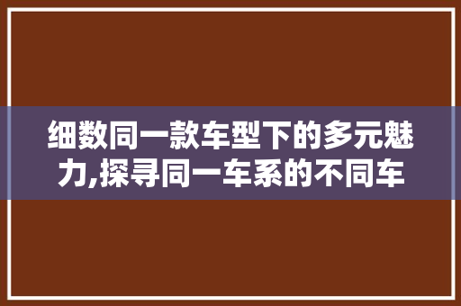 细数同一款车型下的多元魅力,探寻同一车系的不同车型特色