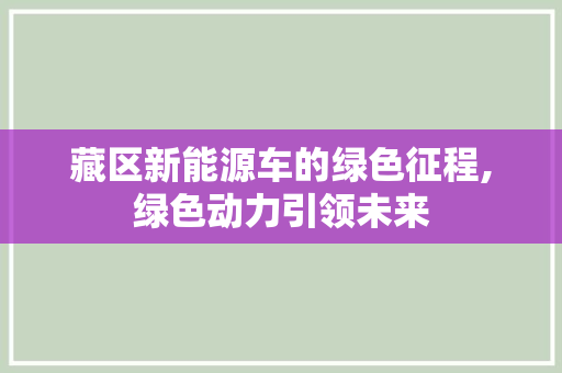 藏区新能源车的绿色征程,绿色动力引领未来