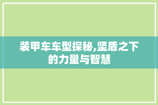 装甲车车型探秘,坚盾之下的力量与智慧