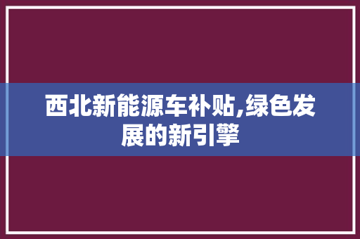 西北新能源车补贴,绿色发展的新引擎