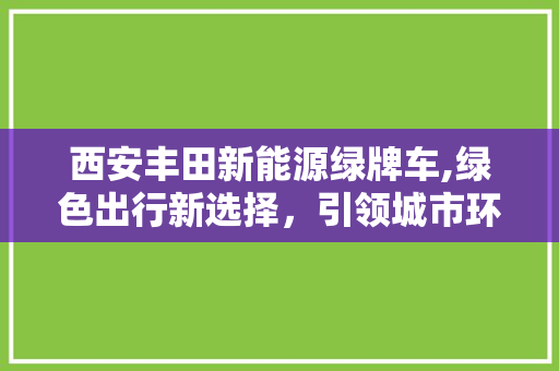 西安丰田新能源绿牌车,绿色出行新选择，引领城市环保潮流
