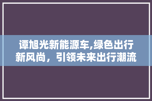 谭旭光新能源车,绿色出行新风尚，引领未来出行潮流