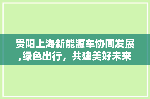 贵阳上海新能源车协同发展,绿色出行，共建美好未来