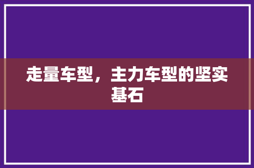 走量车型，主力车型的坚实基石