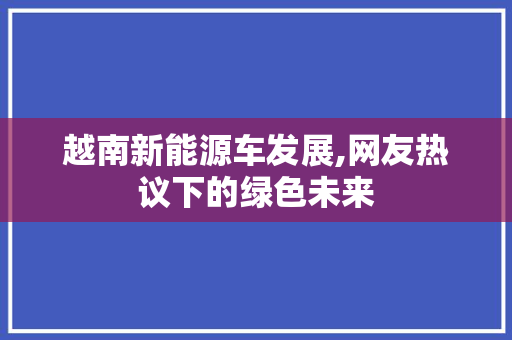 越南新能源车发展,网友热议下的绿色未来