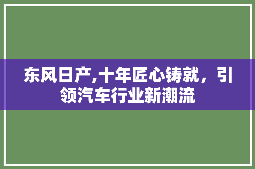 东风日产,十年匠心铸就，引领汽车行业新潮流