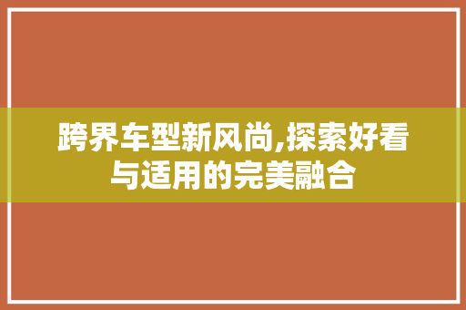 跨界车型新风尚,探索好看与适用的完美融合