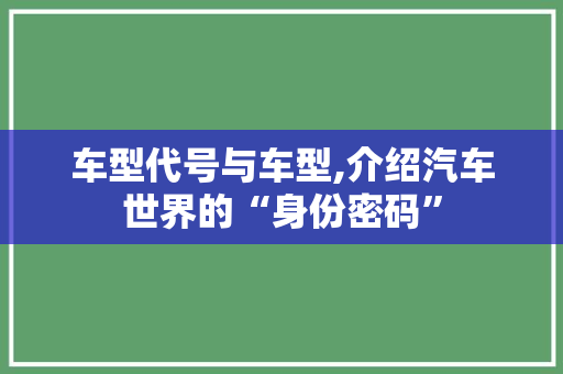 车型代号与车型,介绍汽车世界的“身份密码”