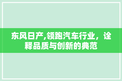 东风日产,领跑汽车行业，诠释品质与创新的典范