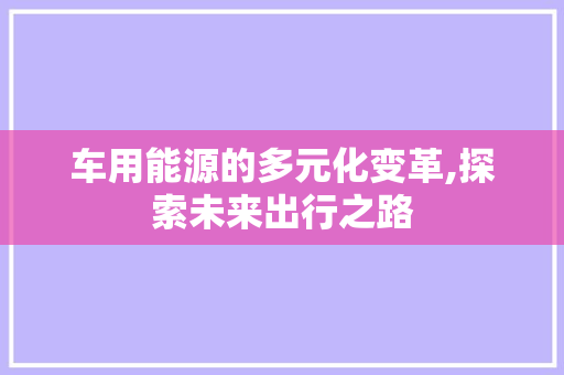 车用能源的多元化变革,探索未来出行之路